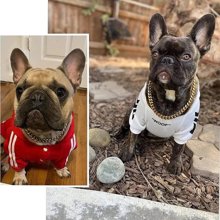 Robust Hundhalsband
