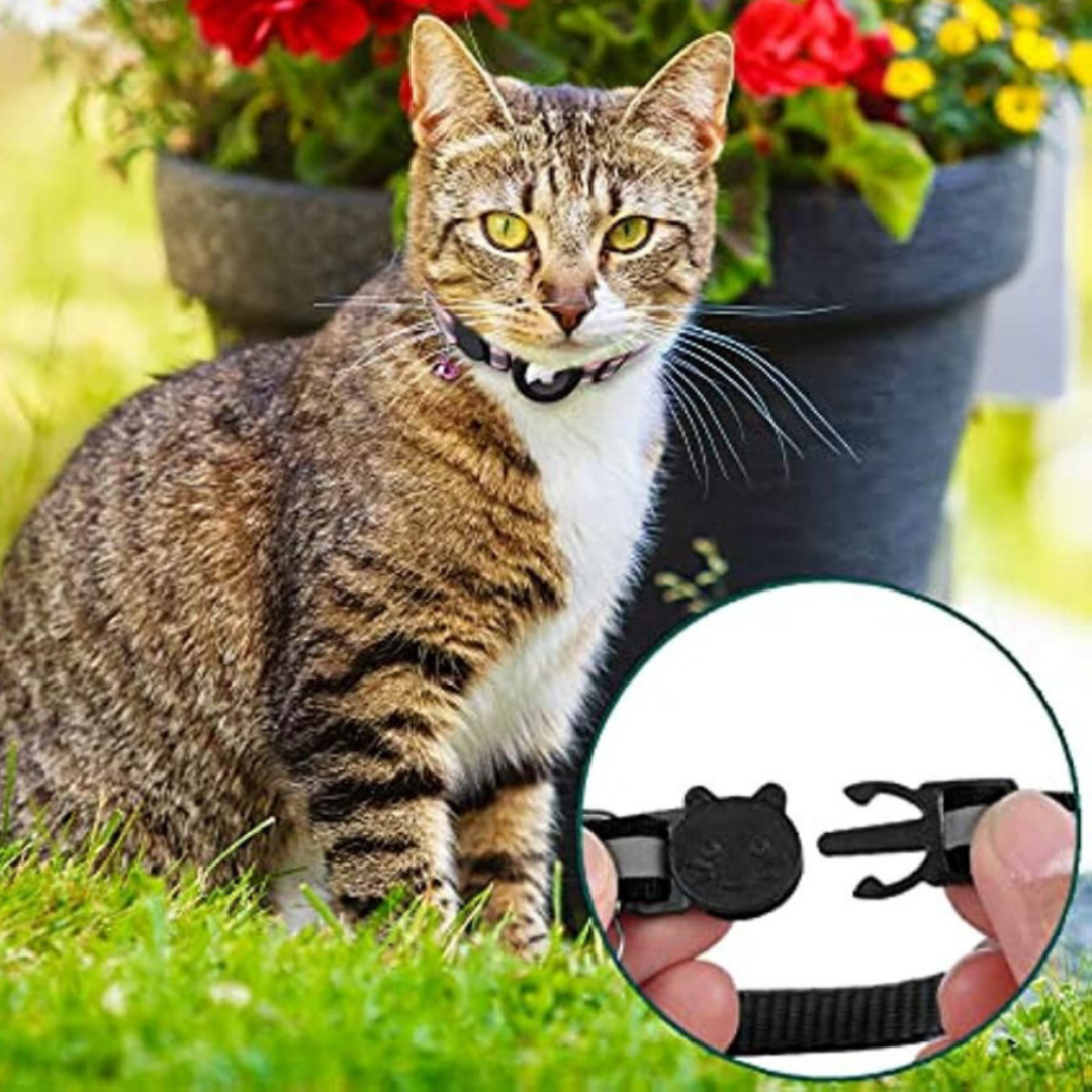 Katt Halsband Med Klocka Och GPS Tracker Hållare