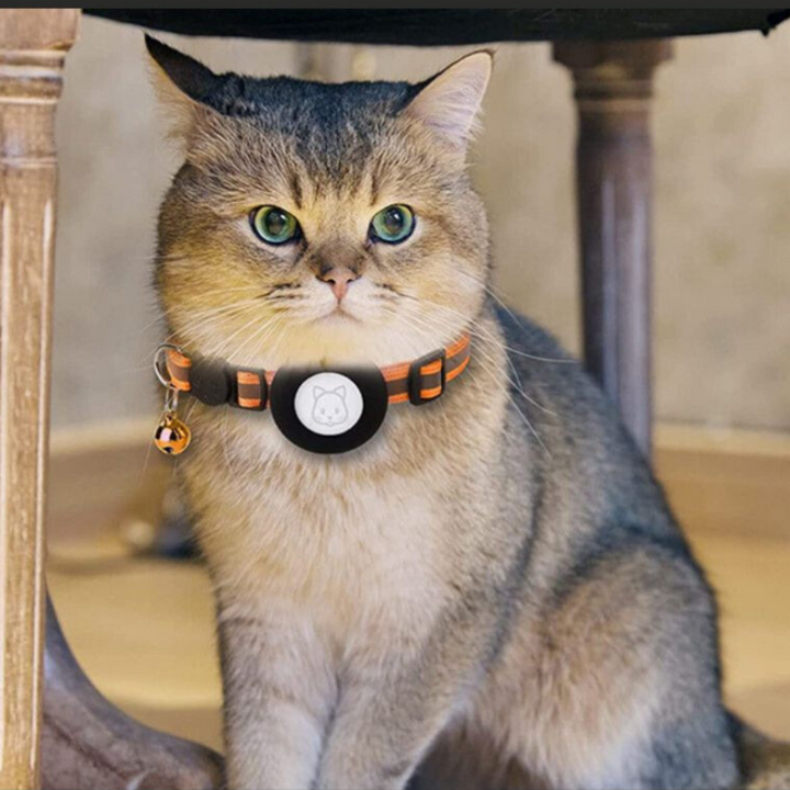 Katt Halsband Med Klocka Och GPS Tracker Hållare