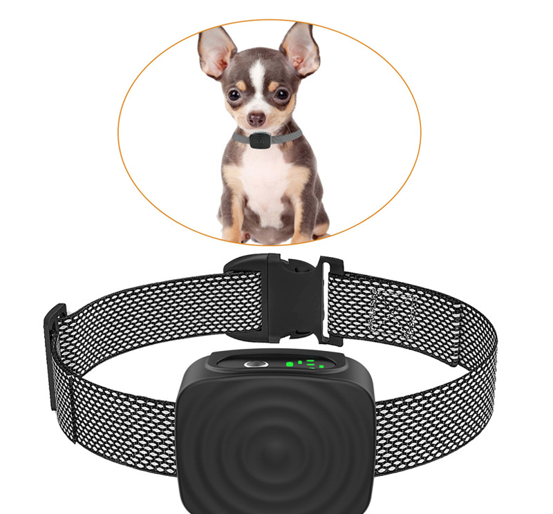 Hundhalsband Anti Skäll för Små Hundar