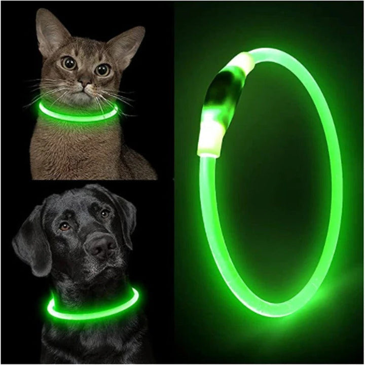 Ljusande Hundhalsband, USB-uppladdningsbart LED-halsband