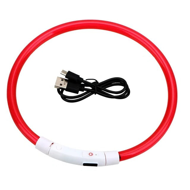 Ljusande Hundhalsband, USB-uppladdningsbart LED-halsband