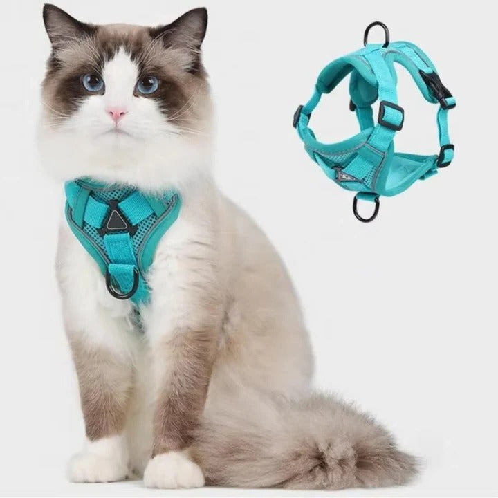 Reflekterande Kattsele och Koppel Set