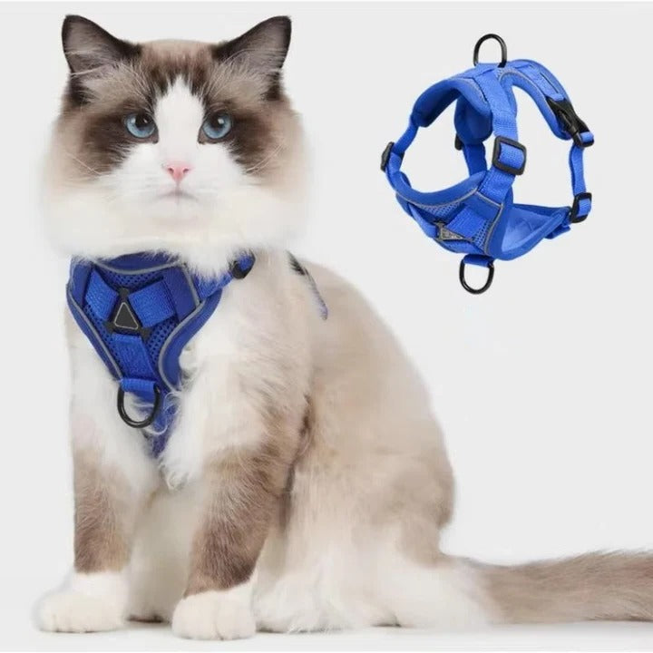 Reflekterande Kattsele och Koppel Set