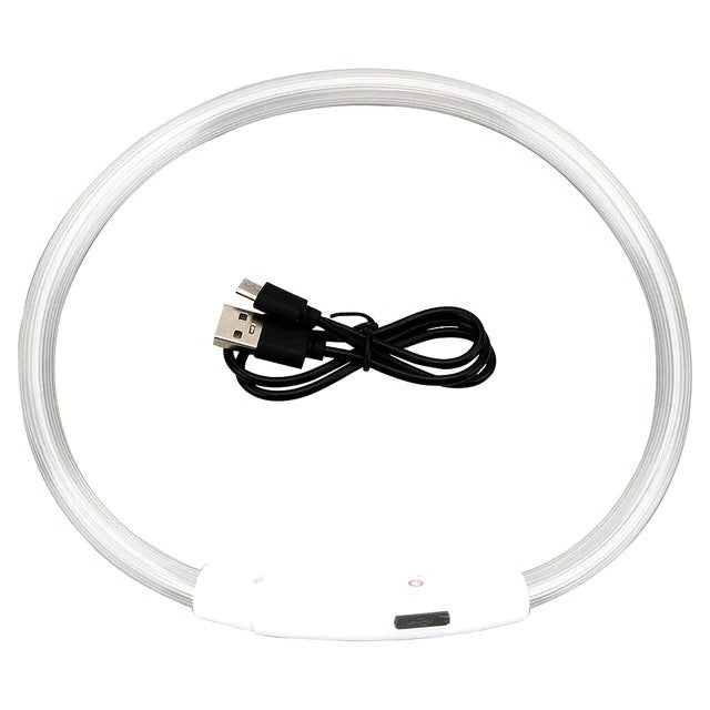 Ljusande Hundhalsband, USB-uppladdningsbart LED-halsband