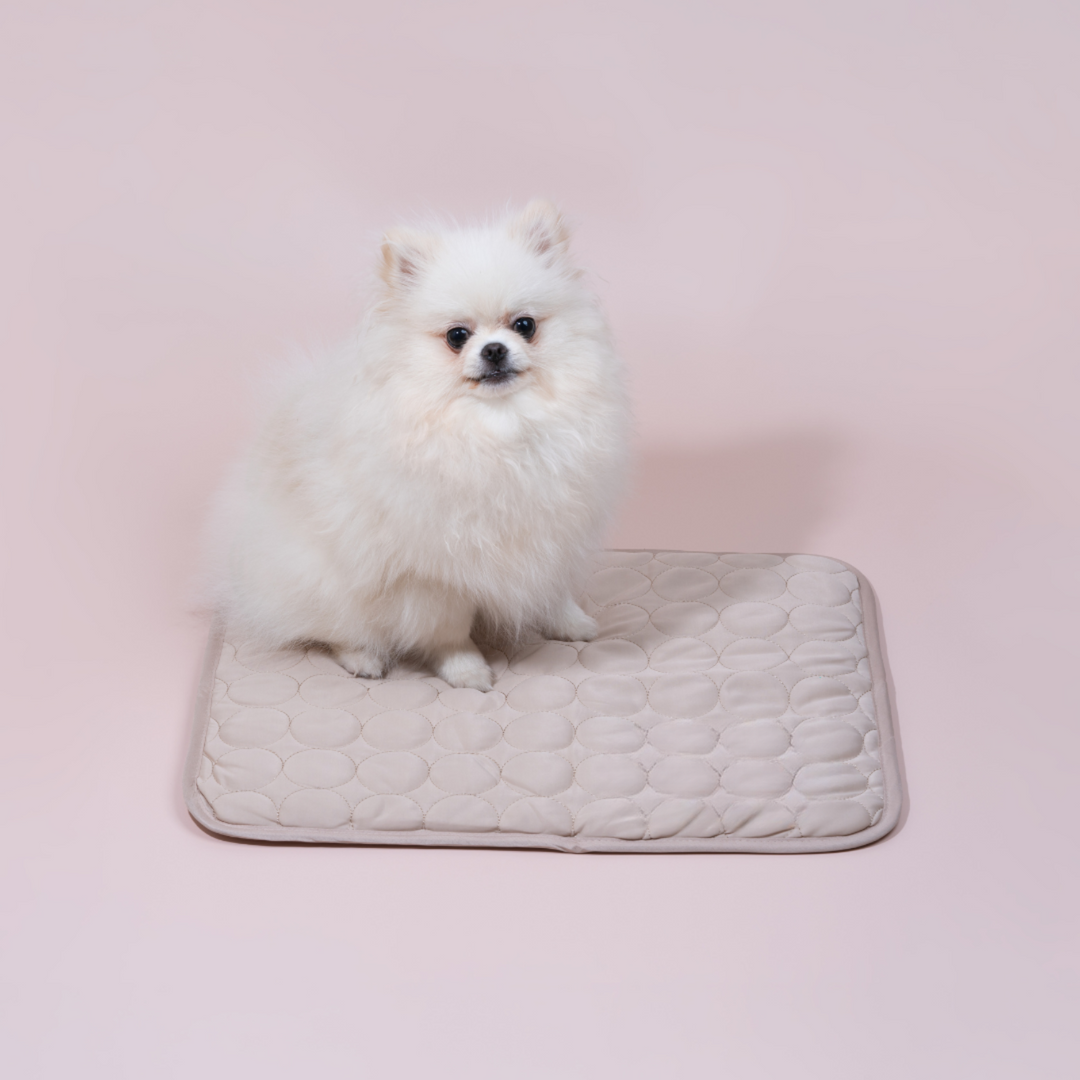 Innovativ Kylmatta för Hundar (4x Kylkraft) - ChillComfort