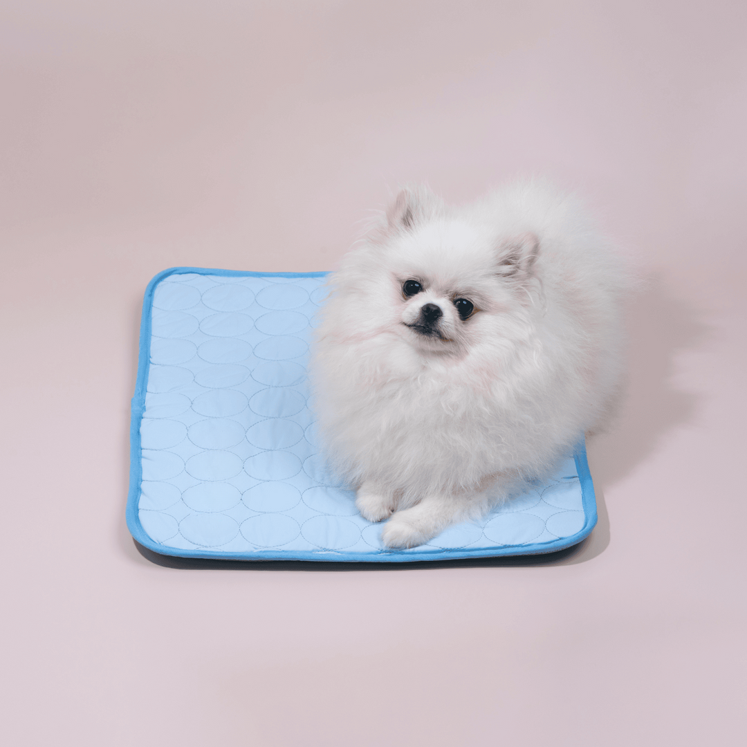 Innovativ Kylmatta för Hundar (4x Kylkraft) - ChillComfort