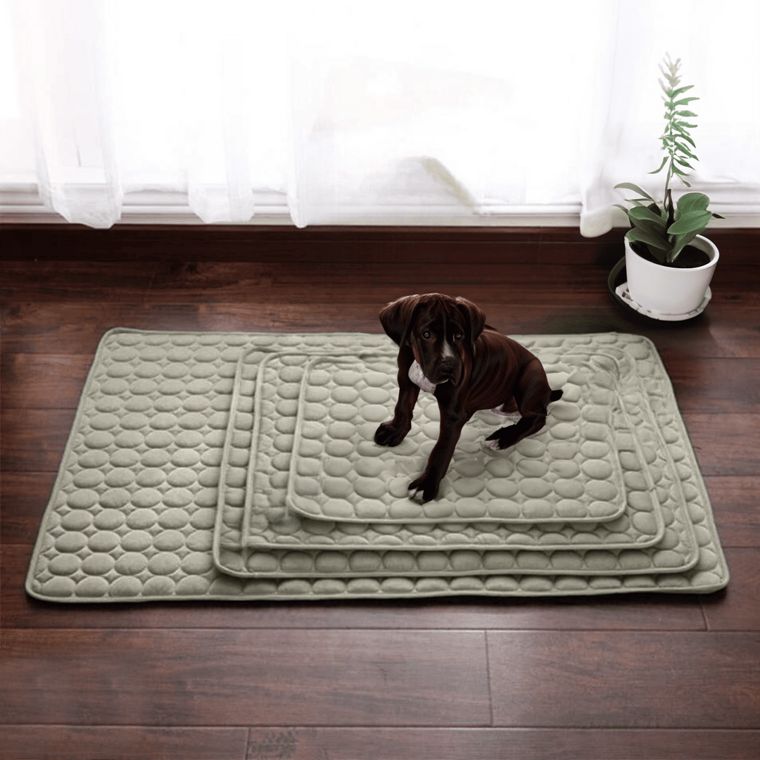 Innovativ Kylmatta för Hundar (4x Kylkraft) - ChillComfort