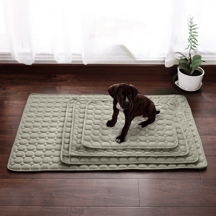 Innovativ Kylmatta för Hundar (4x Kylkraft) - ChillComfort