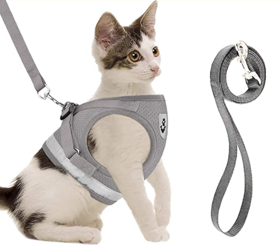 AdventureKit - Säker sele för äventyrliga katter