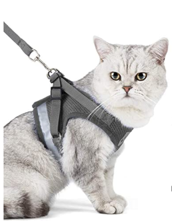 AdventureKit - Säker sele för äventyrliga katter