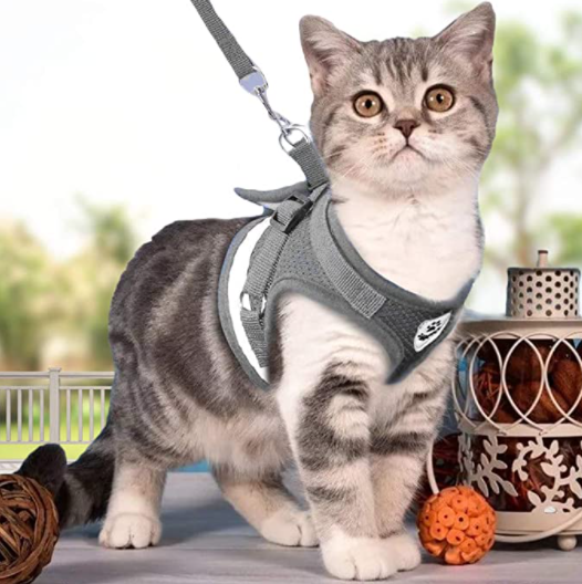 AdventureKit - Säker sele för äventyrliga katter