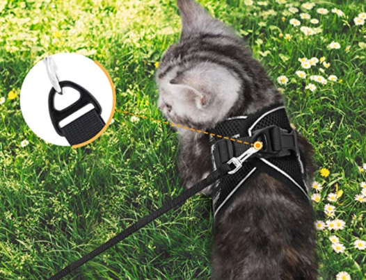 AdventureKit - Säker sele för äventyrliga katter