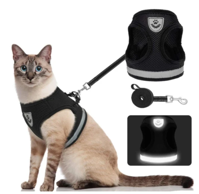 AdventureKit - Säker sele för äventyrliga katter