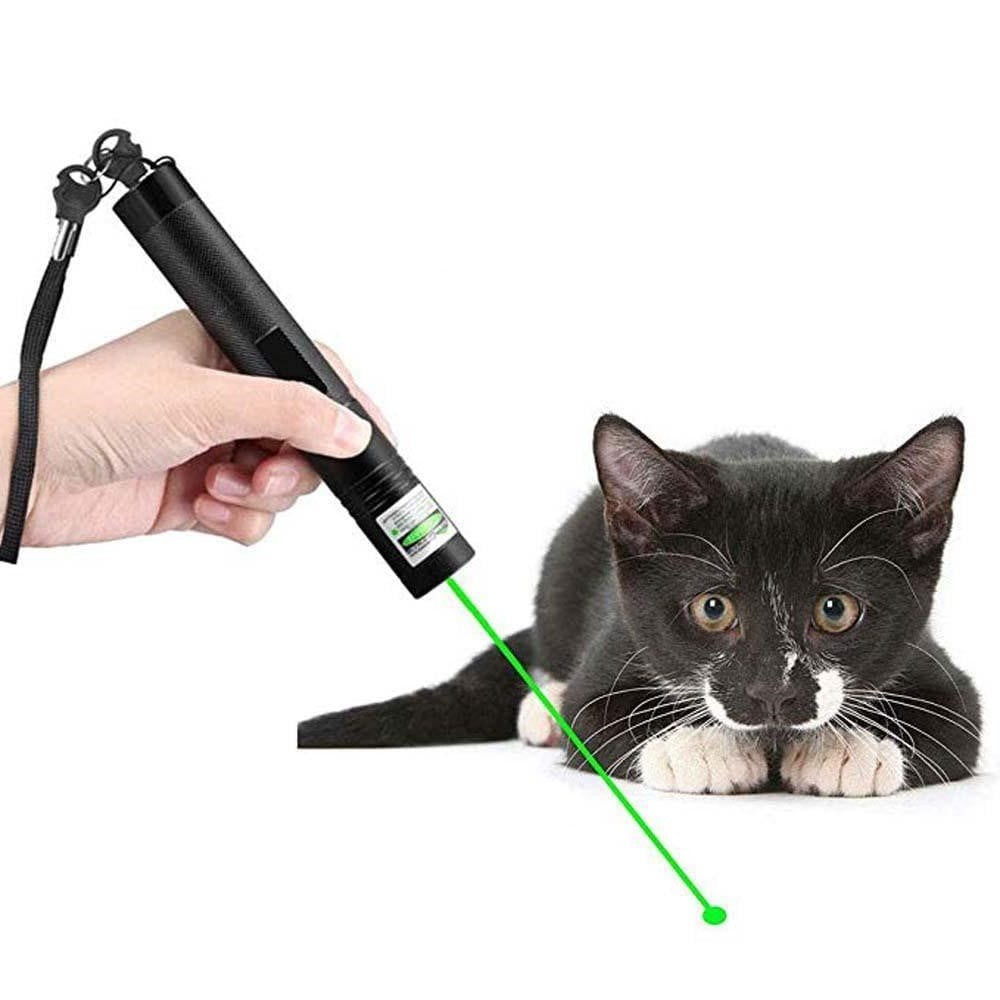 Högpresterande Laserpekare 303