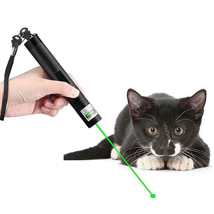 Högpresterande Laserpekare 303