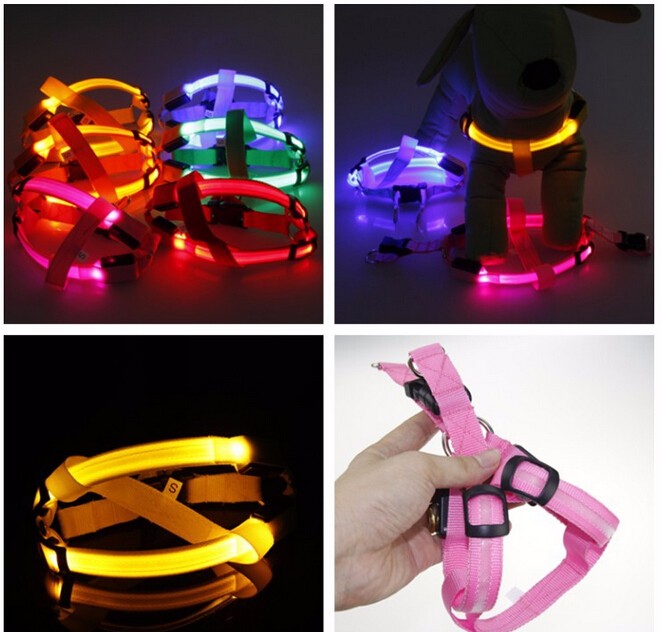 LED Hundsele - Glow&amp;Go