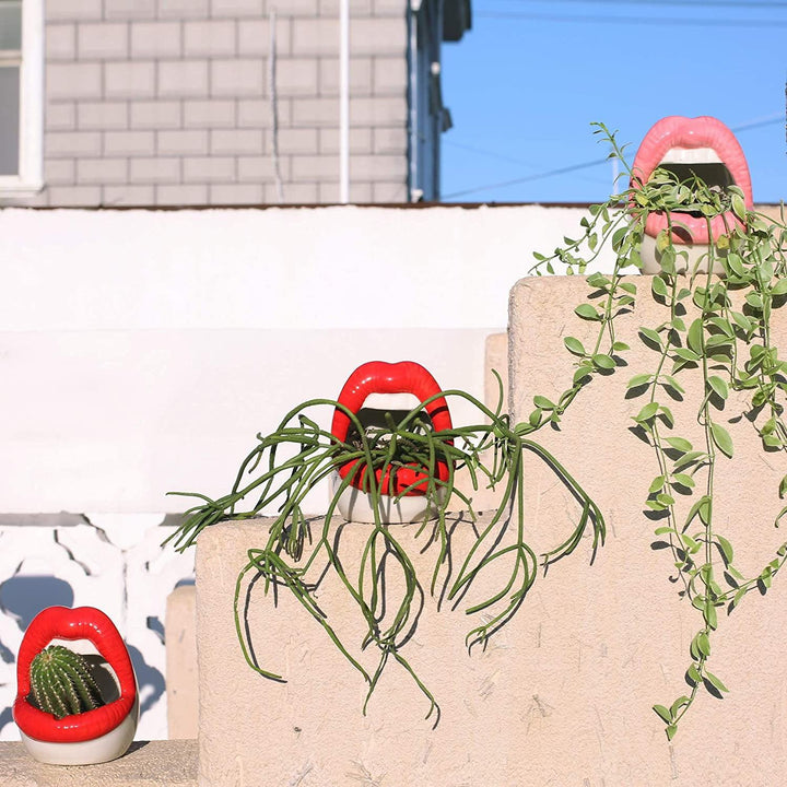Läppblomkruka
