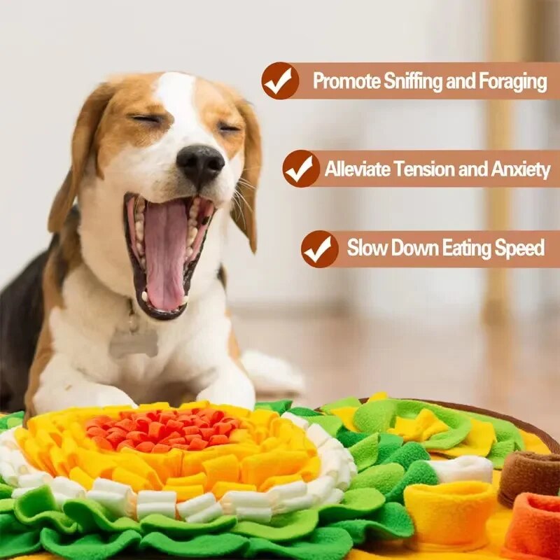 Snuffle Mat för Hundar