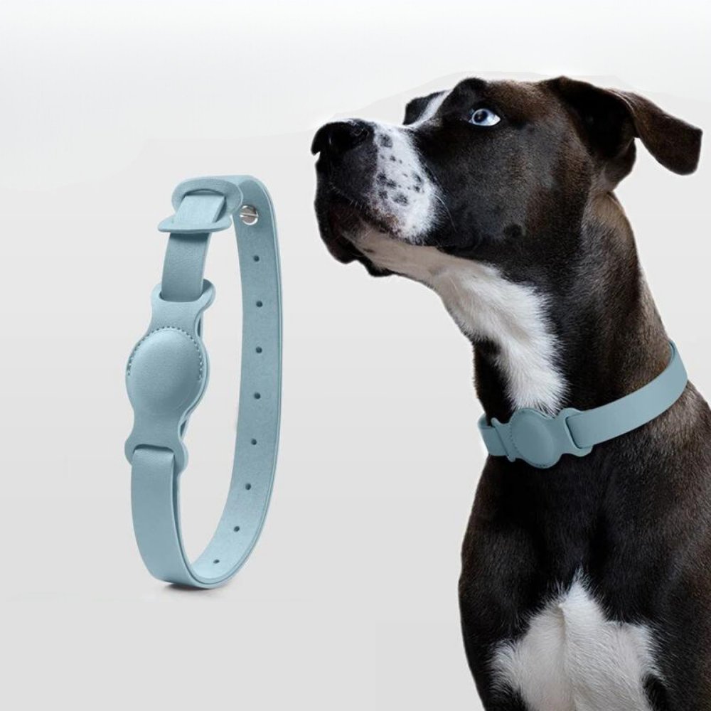 LuxeLeather • AirTag Hundhalsband