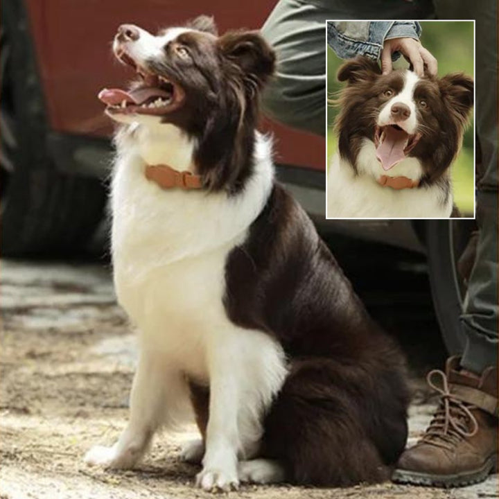 LuxeLeather • AirTag Hundhalsband