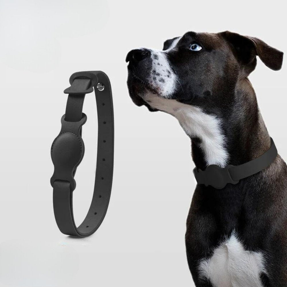 LuxeLeather • AirTag Hundhalsband
