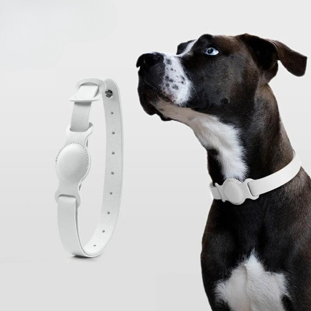 LuxeLeather • AirTag Hundhalsband