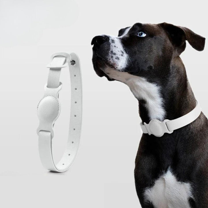 LuxeLeather • AirTag Hundhalsband