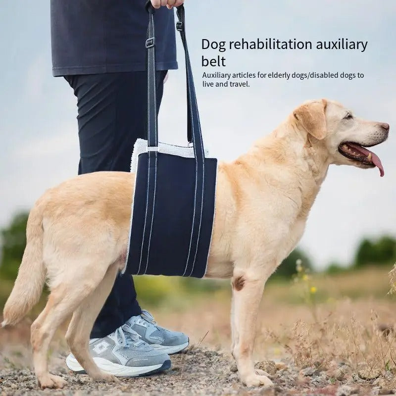 Hundstödsele - Justerbart rehabiliteringsbälte