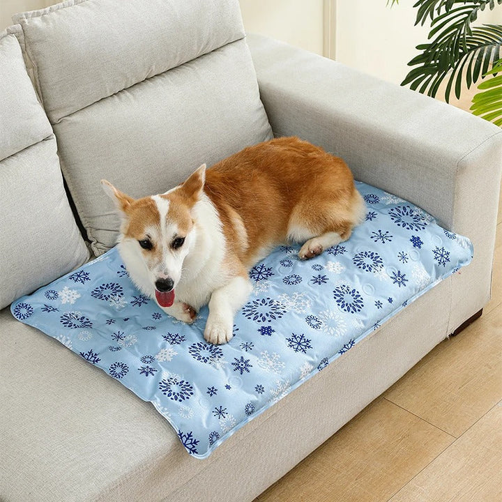 Hundkyld matta
