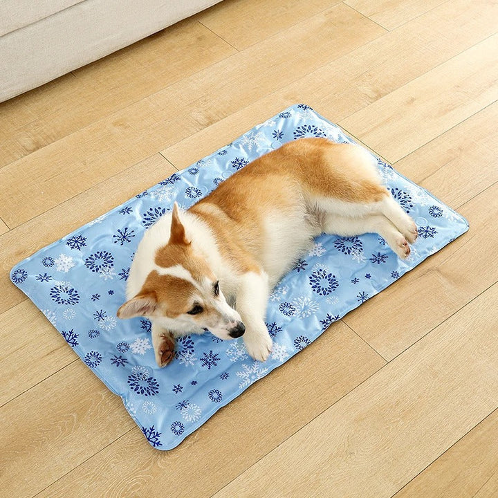Hundkyld matta
