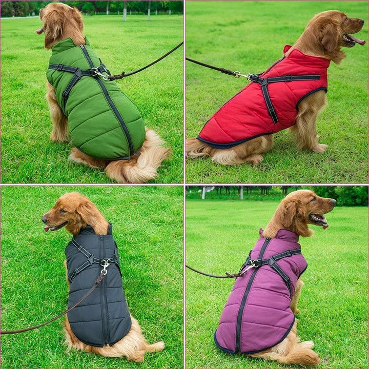 Allvädersisolerad hundjacka med inbyggd sele