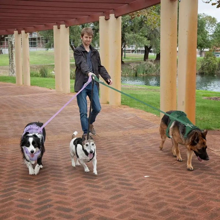 PaddedControl • Ingen Drag Hundsele