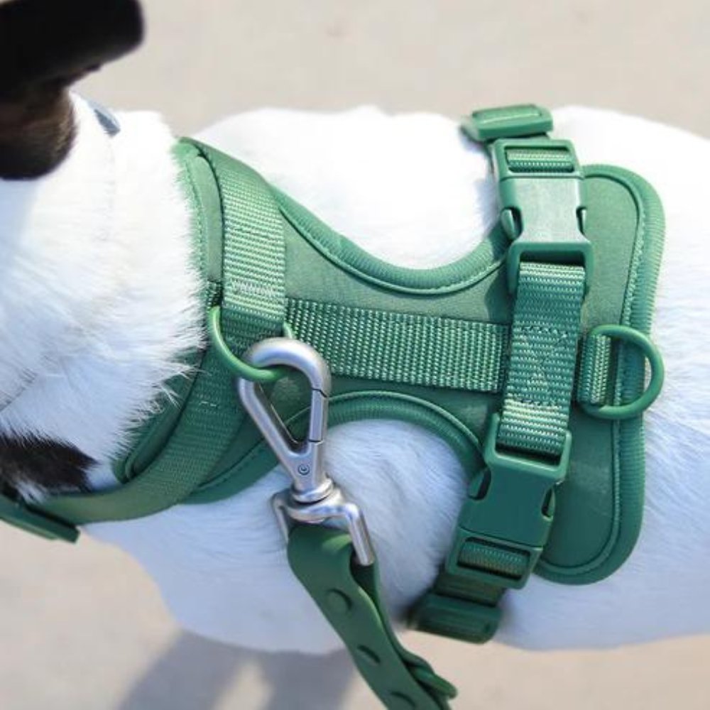 PaddedControl • Ingen Drag Hundsele