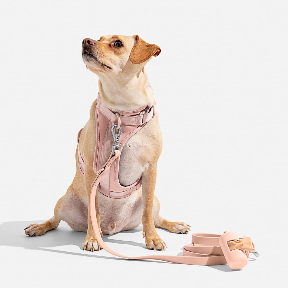 PaddedControl • Ingen Drag Hundsele