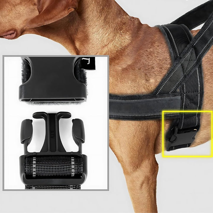 PatriotGuard •  Ingen Drag Hundsele