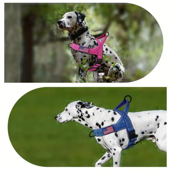 PatriotGuard •  Ingen Drag Hundsele