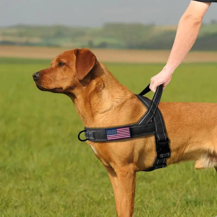 PatriotGuard •  Ingen Drag Hundsele