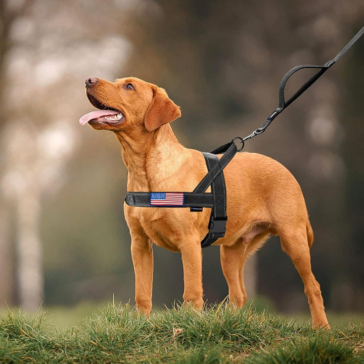 PatriotGuard •  Ingen Drag Hundsele
