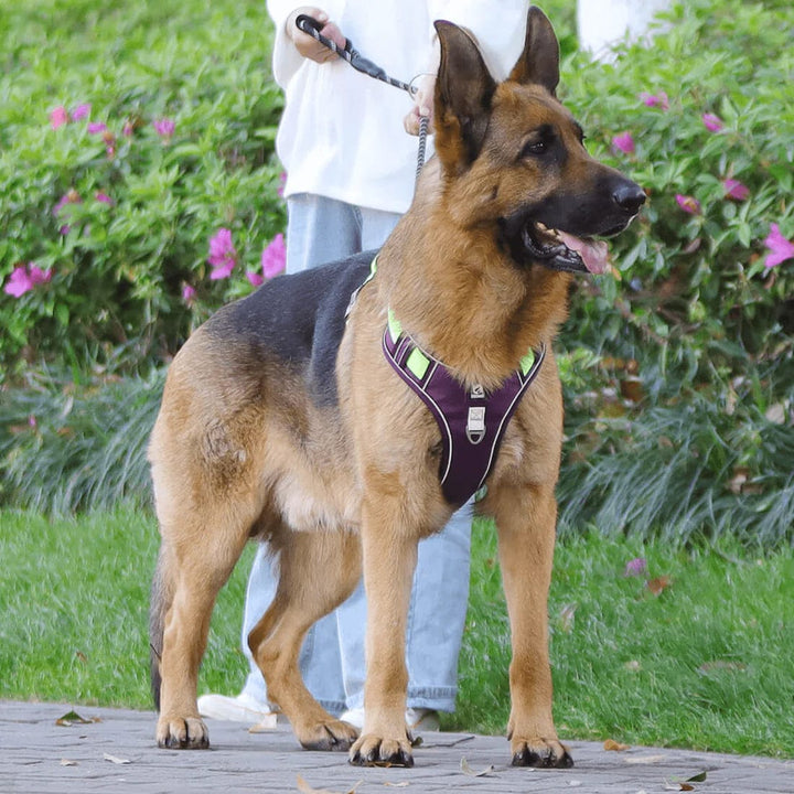 PawsControl - Den Ultimata Sele Utan Drag