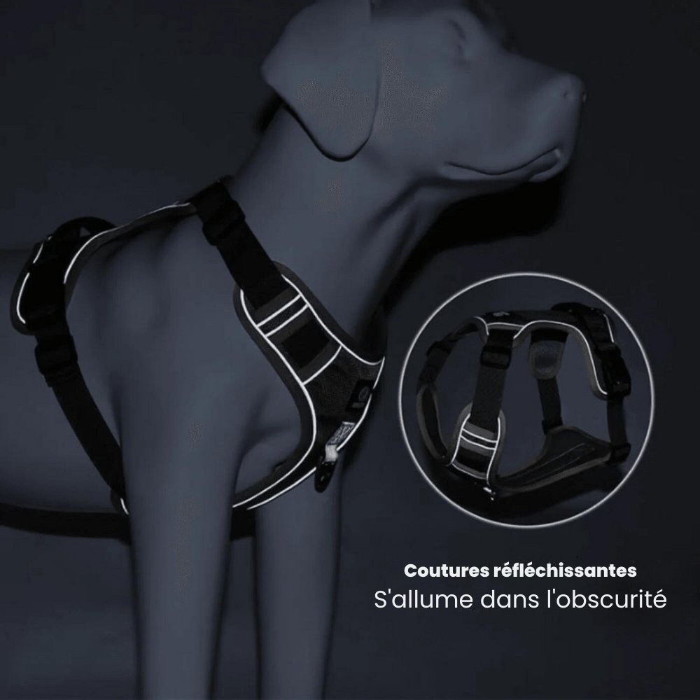 PawsControl - Den Ultimata Sele Utan Drag