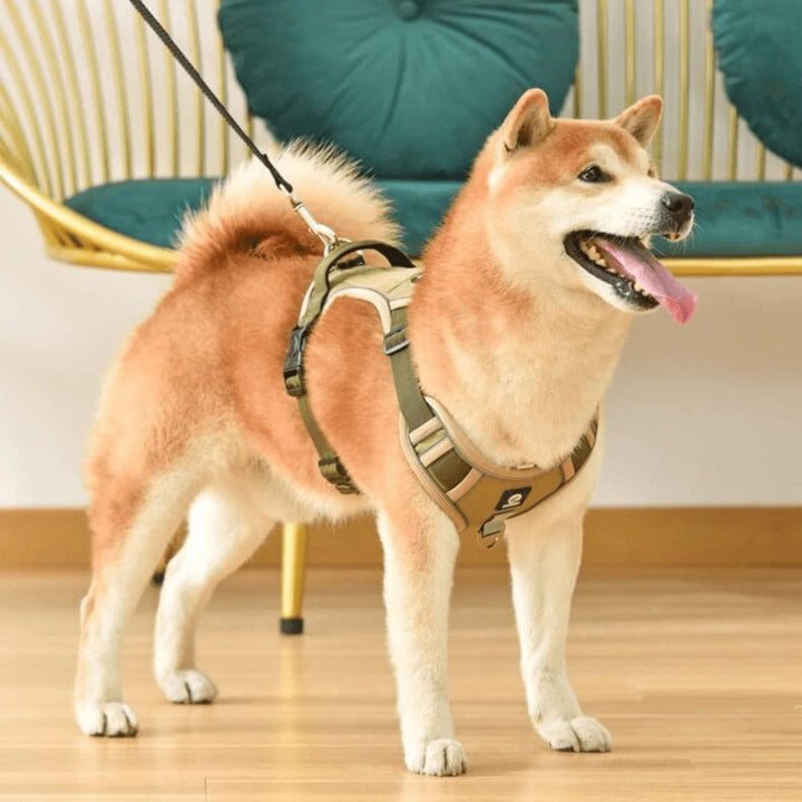 PawsControl - Den Ultimata Sele Utan Drag