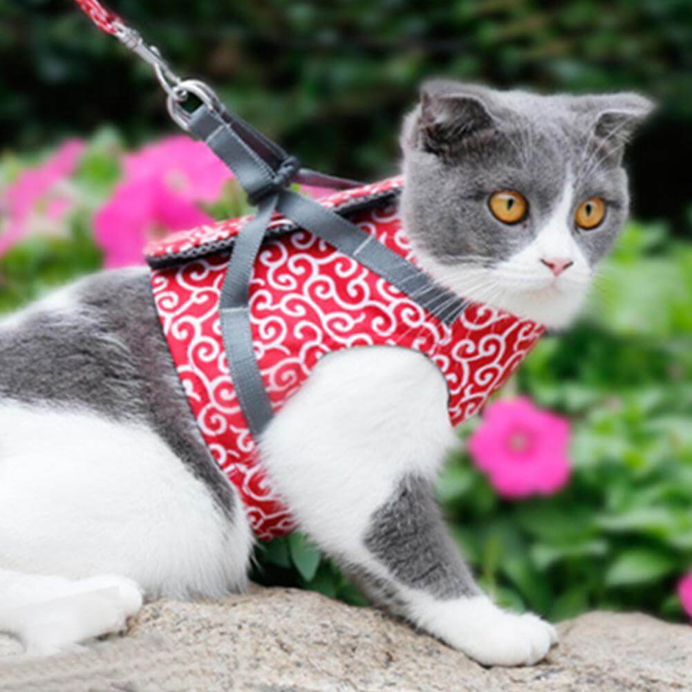 PAWVENTURE SÄNG – Kattsele med andningsbart nät och koppel