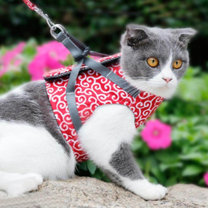 PAWVENTURE SÄNG – Kattsele med andningsbart nät och koppel
