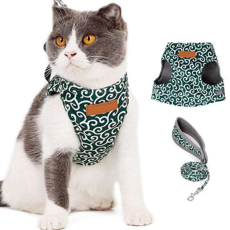 PAWVENTURE SÄNG – Kattsele med andningsbart nät och koppel