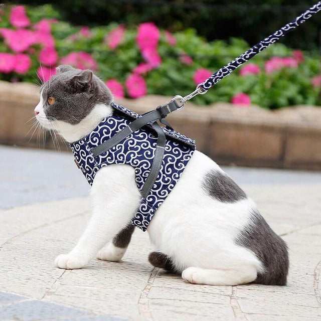 PAWVENTURE SÄNG – Kattsele med andningsbart nät och koppel