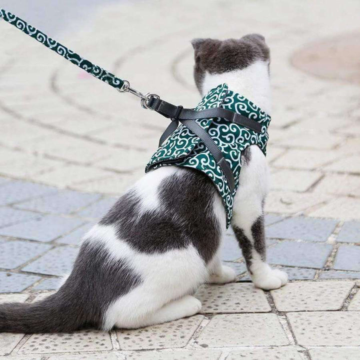 PAWVENTURE SÄNG – Kattsele med andningsbart nät och koppel