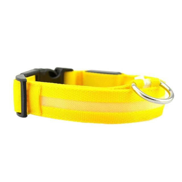 GlowPets LED-halsband – Säkerhet och synlighet för husdjur