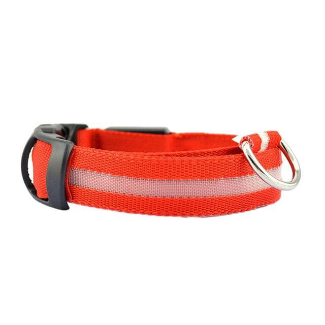 GlowPets LED-halsband – Säkerhet och synlighet för husdjur