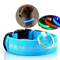 GlowPets LED-halsband – Säkerhet och synlighet för husdjur